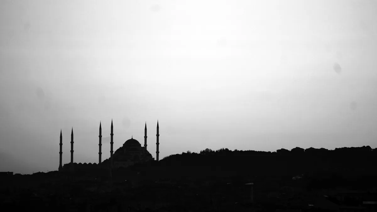 İstanbul silueti, siyah-beyaz